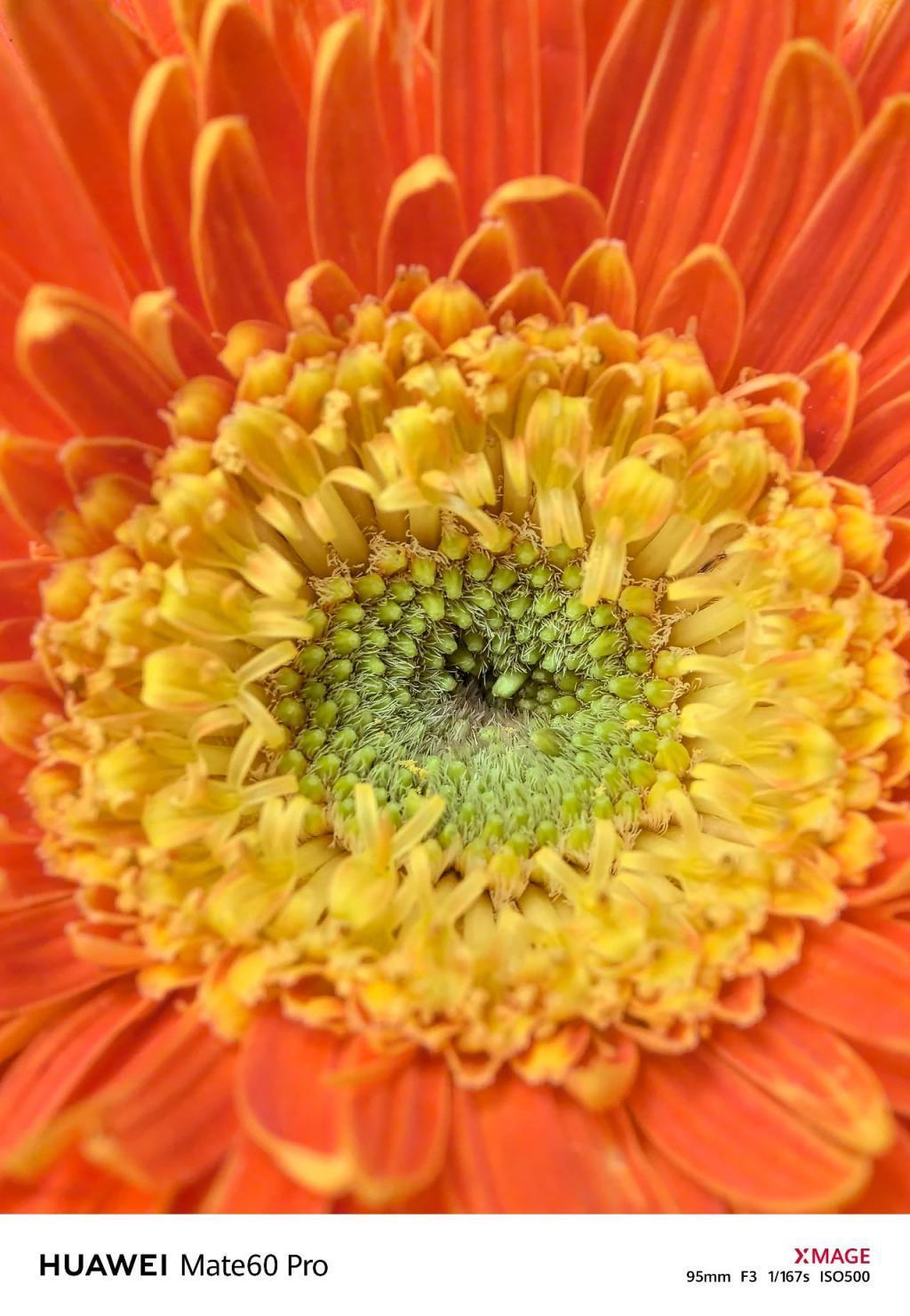 华为Mate60 Pro影像评测