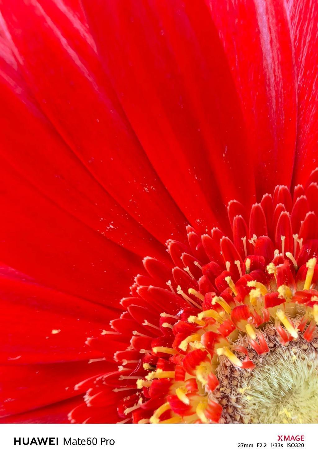 华为Mate60 Pro影像评测