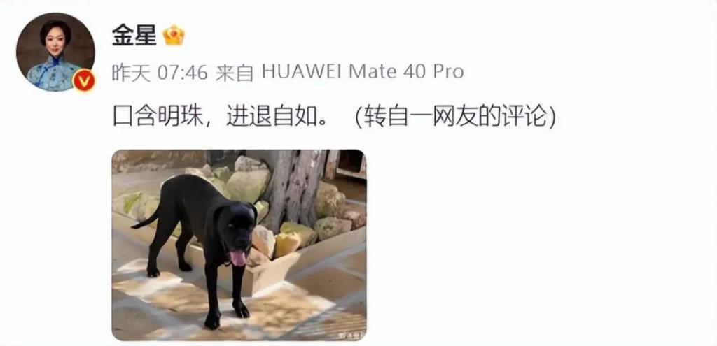 金星发文疑内涵董明珠王自如，两人恩怨被扒