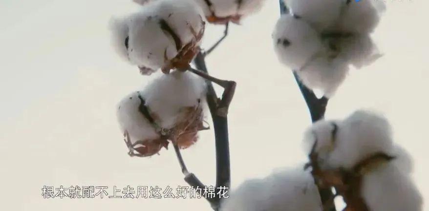 71岁香港女富豪：不当豪门阔太去种棉花，李嘉诚都夸她牛！