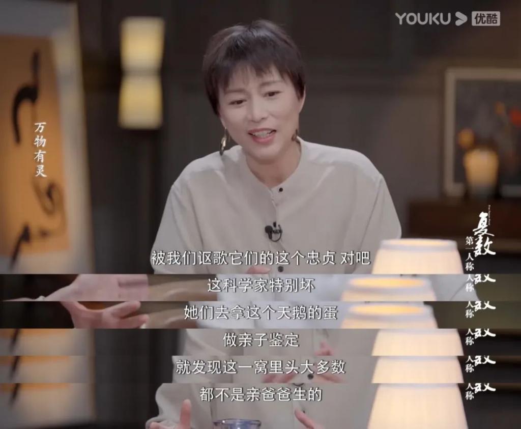 真要命，内娱这张嘴又火了