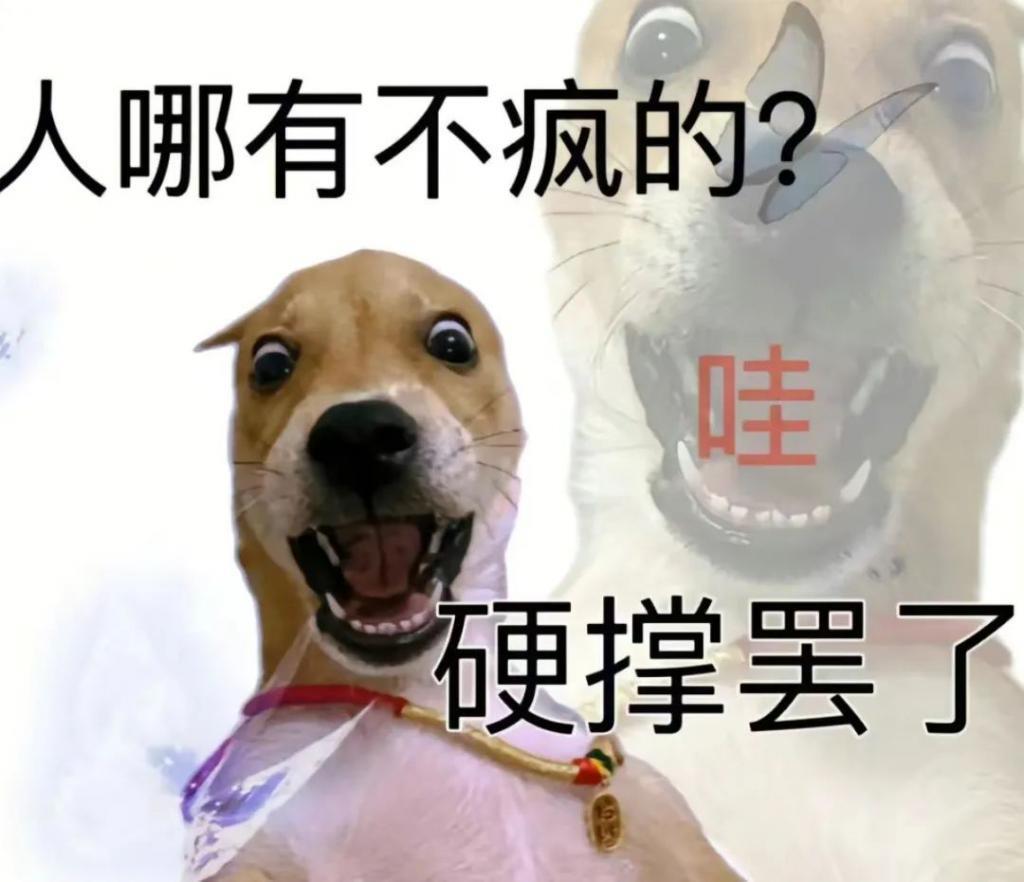 这世道已经变得如此疯狂了嘛？