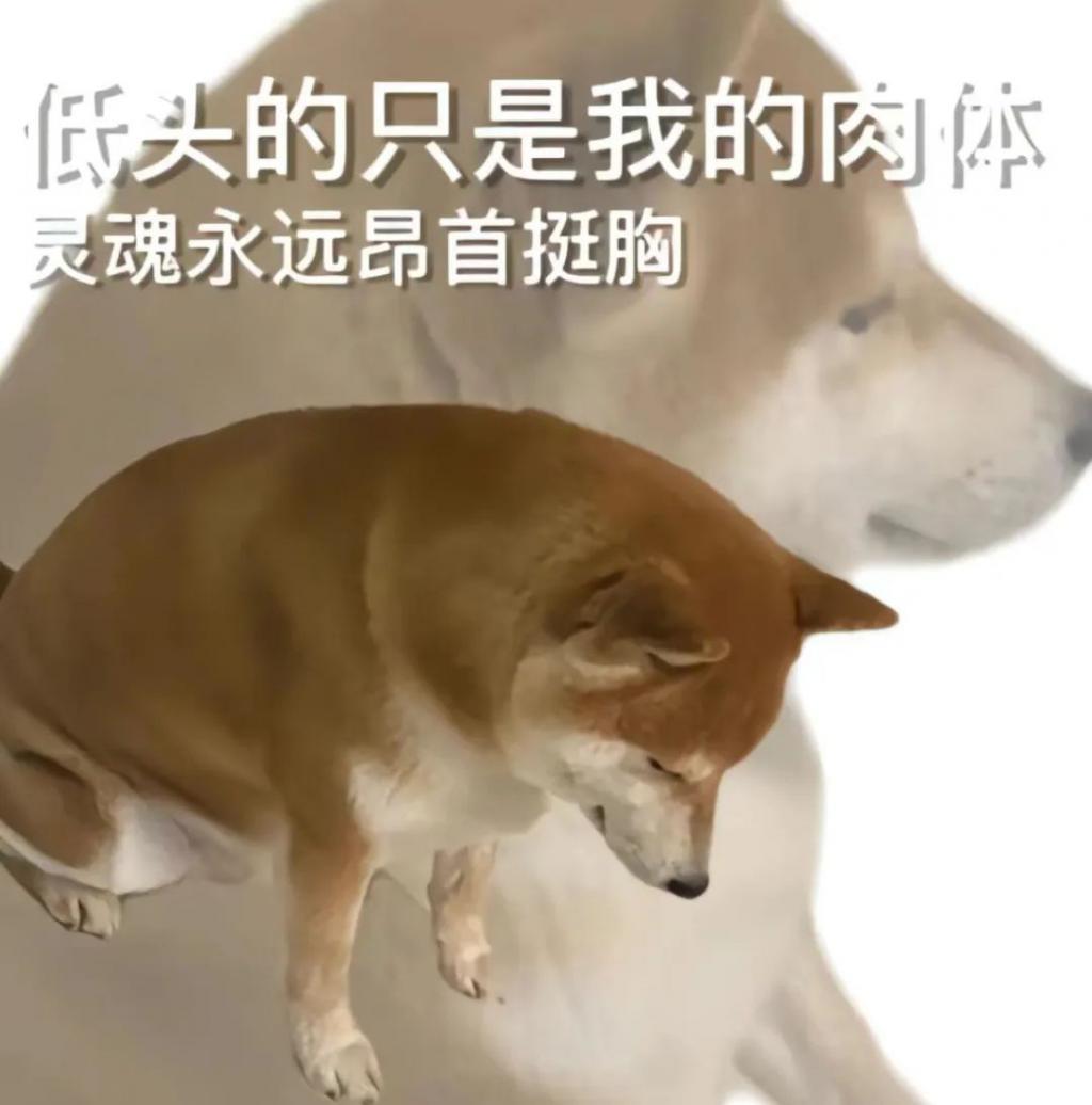 这世道已经变得如此疯狂了嘛？