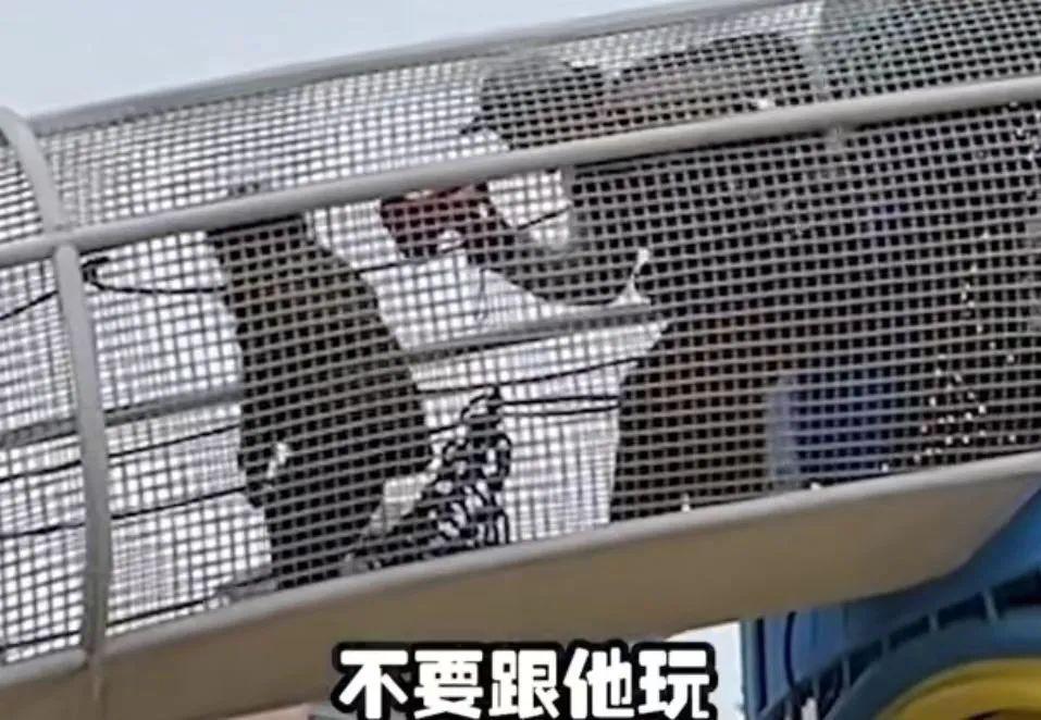 这世道已经变得如此疯狂了嘛？