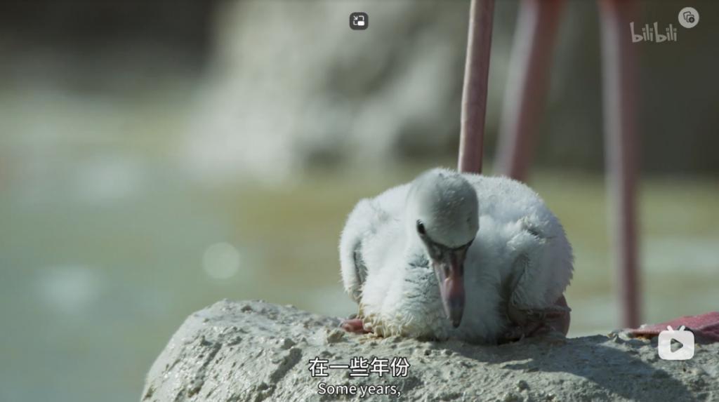 苦等7年，回归即爆！逆天神作，顶礼膜拜