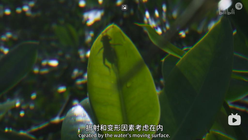 苦等7年，回归即爆！逆天神作，顶礼膜拜