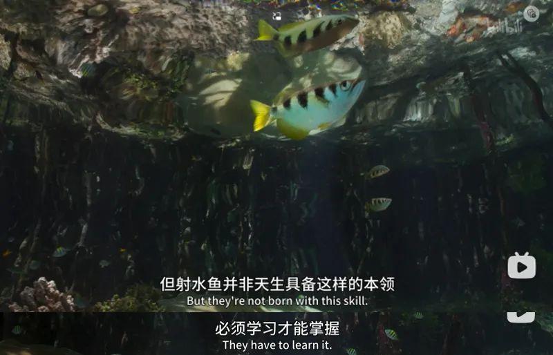 苦等7年，回归即爆！逆天神作，顶礼膜拜