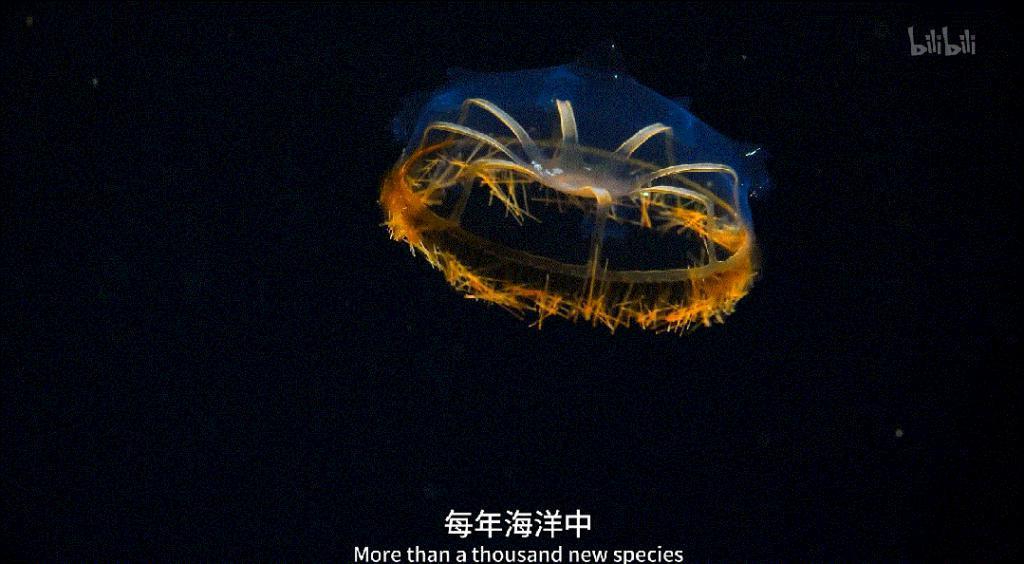 苦等7年，回归即爆！逆天神作，顶礼膜拜