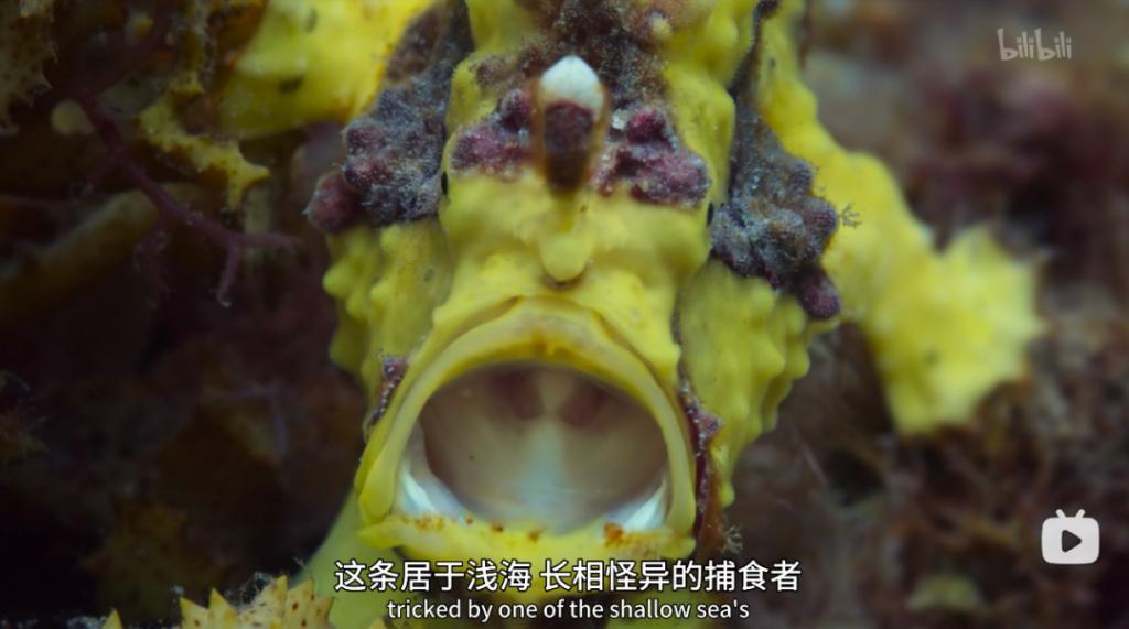 苦等7年，回归即爆！逆天神作，顶礼膜拜