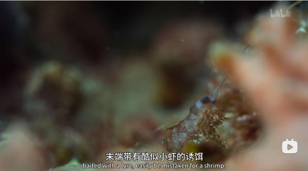 苦等7年，回归即爆！逆天神作，顶礼膜拜