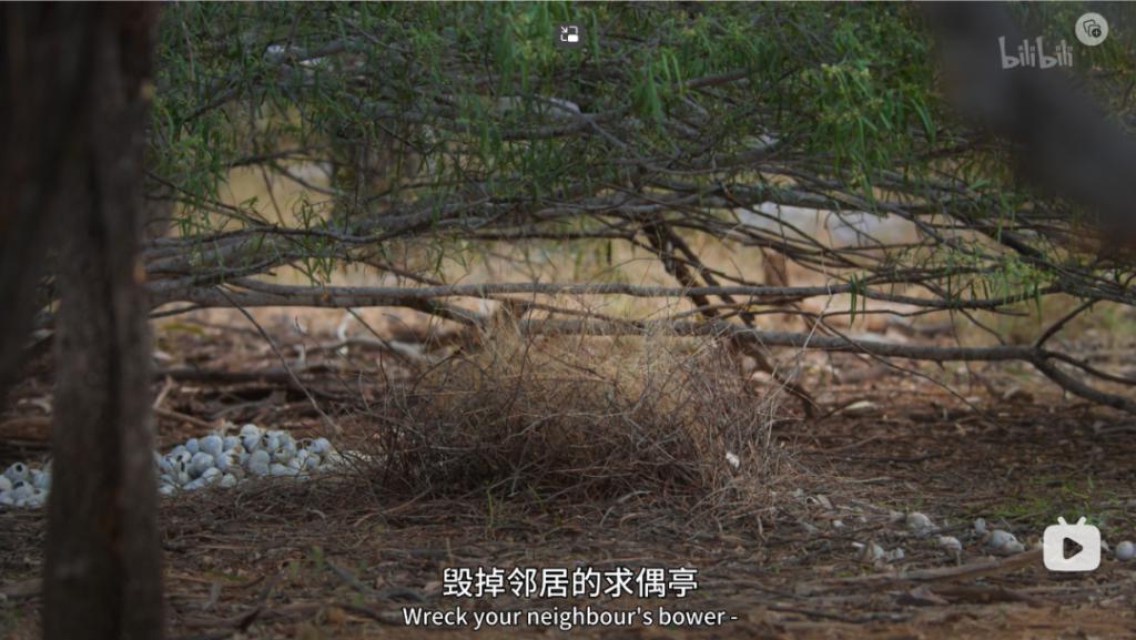 苦等7年，回归即爆！逆天神作，顶礼膜拜