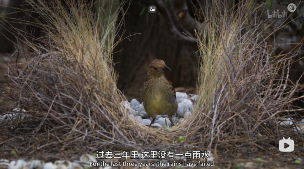 苦等7年，回归即爆！逆天神作，顶礼膜拜