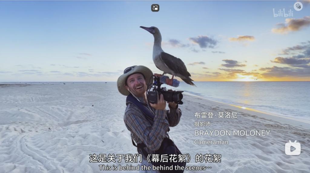 苦等7年，回归即爆！逆天神作，顶礼膜拜