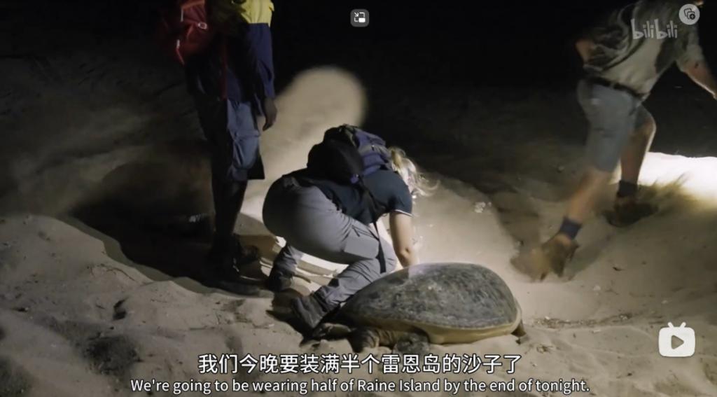 苦等7年，回归即爆！逆天神作，顶礼膜拜