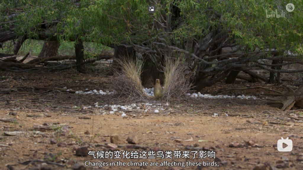 苦等7年，回归即爆！逆天神作，顶礼膜拜