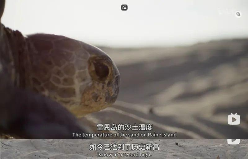 苦等7年，回归即爆！逆天神作，顶礼膜拜