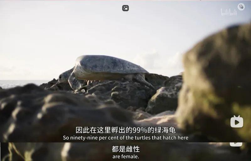 苦等7年，回归即爆！逆天神作，顶礼膜拜
