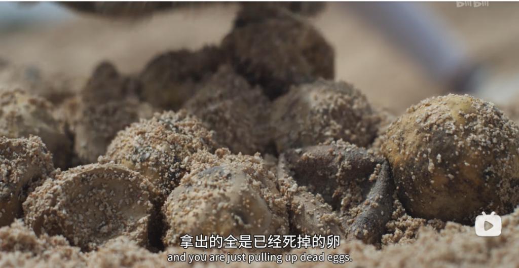 苦等7年，回归即爆！逆天神作，顶礼膜拜