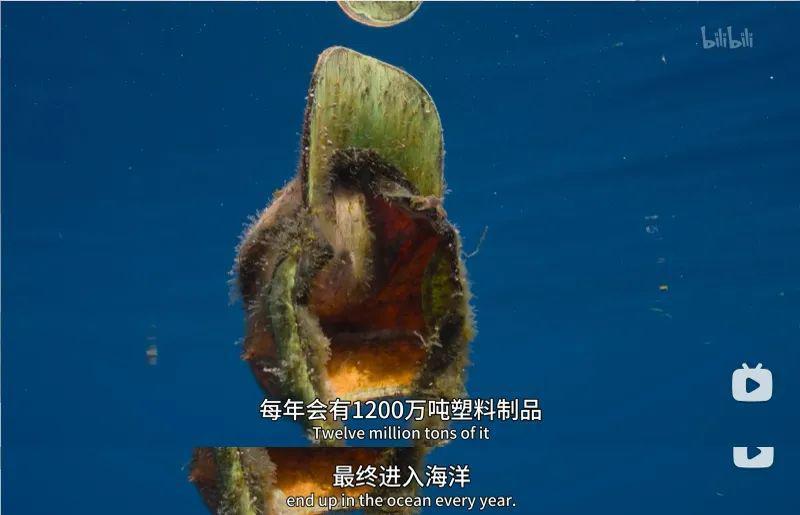 苦等7年，回归即爆！逆天神作，顶礼膜拜