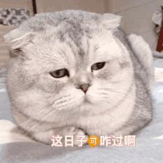 App 想尽办法借钱给我，吃相真难看！