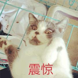 App 想尽办法借钱给我，吃相真难看！