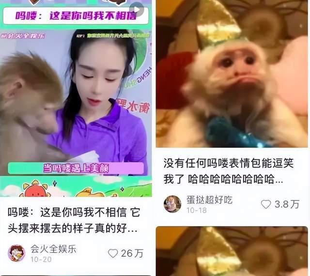 排队疯抢吸金上亿!年轻人的顶流“新欢”让迪士尼一夜失宠
