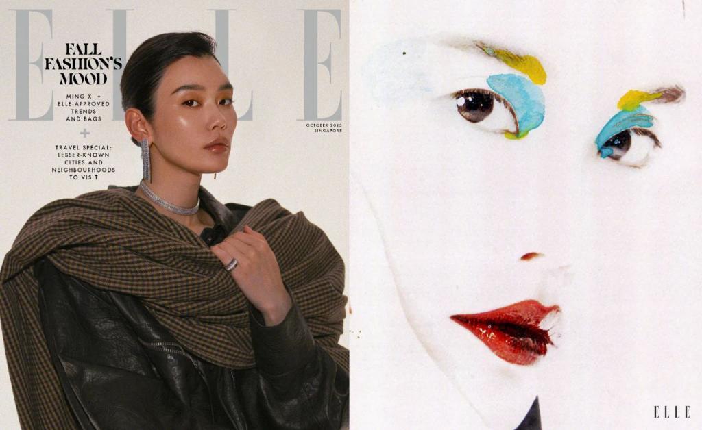 内娱新宠妻狂，我看不下去了