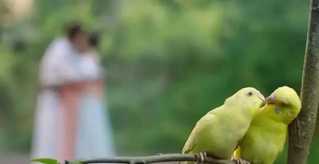 同样大尺度,只骂她一个?