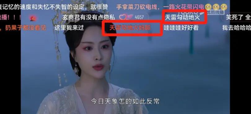 同样大尺度,只骂她一个?