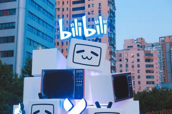 双11什么国货品牌起飞，是B站年轻人决定的