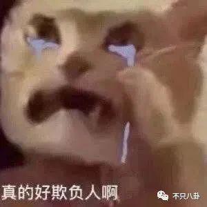 闹成现在这样，他的路人缘还有救吗？