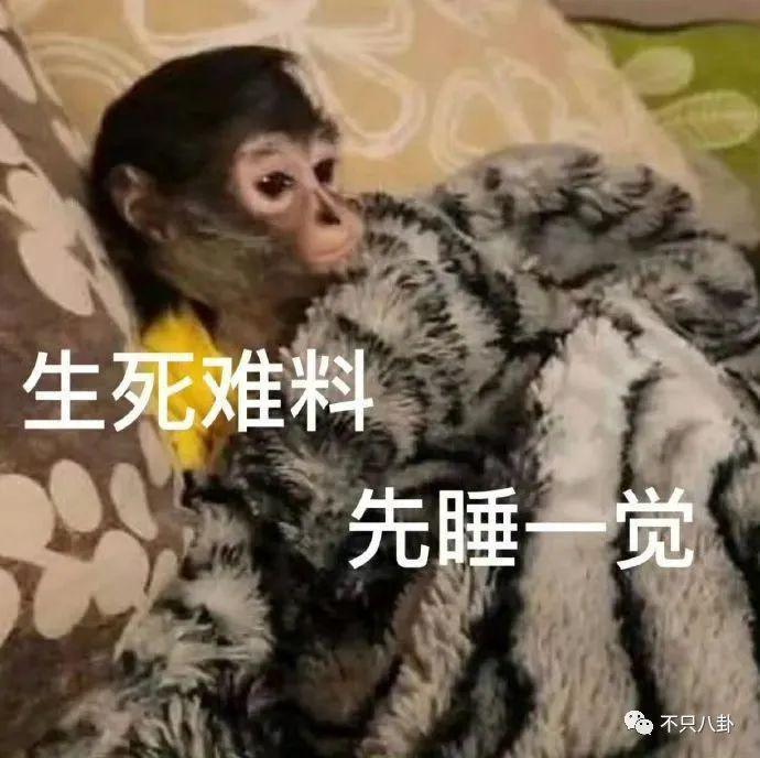 闹成现在这样，他的路人缘还有救吗？