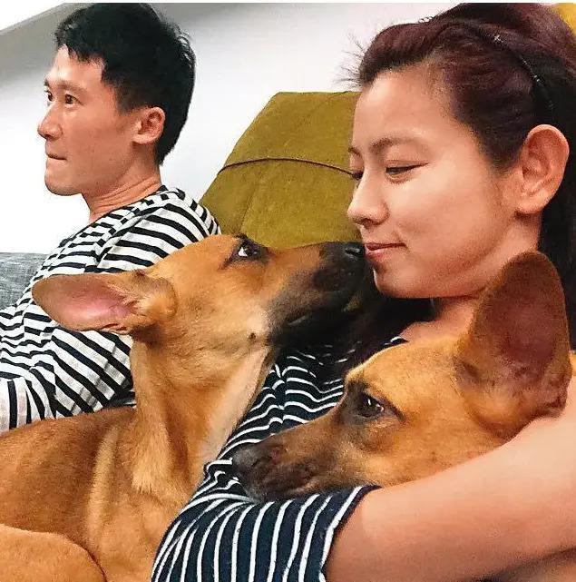 台北中女转型报告:资质平平的通告咖们是怎么拿到金钟的?