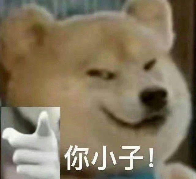 何猷君这小金土豆真的挺不错！