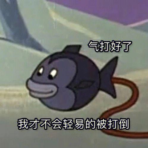 何猷君这小金土豆真的挺不错！