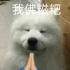 张凌赫别甩锅了