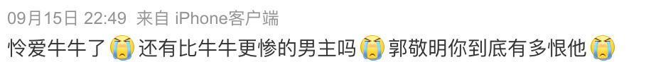 张凌赫别甩锅了
