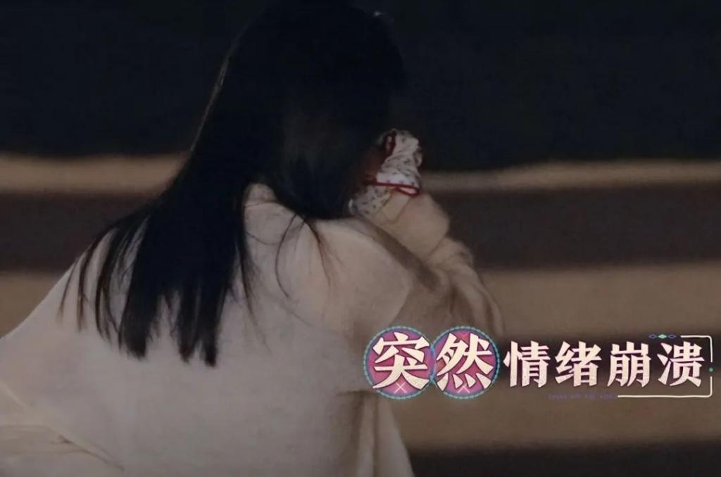 《花少5》口碑翻车该怪谁？辛芷蕾对王安宇的态度让我茅塞顿开