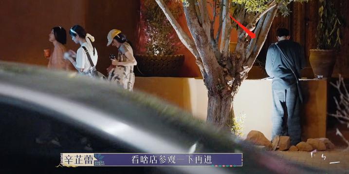 《花少5》口碑翻车该怪谁？辛芷蕾对王安宇的态度让我茅塞顿开
