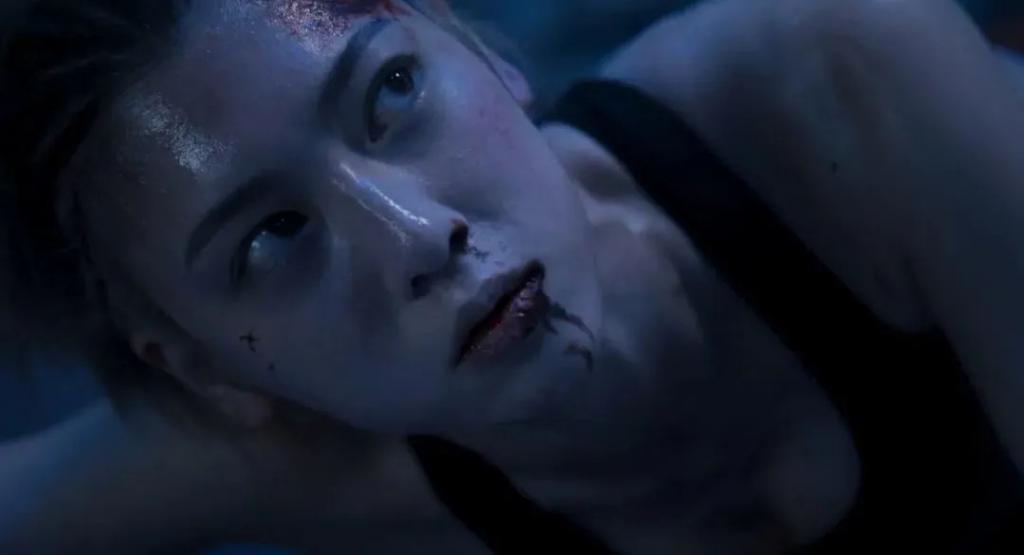 好美的一张脸，好烂的一部片