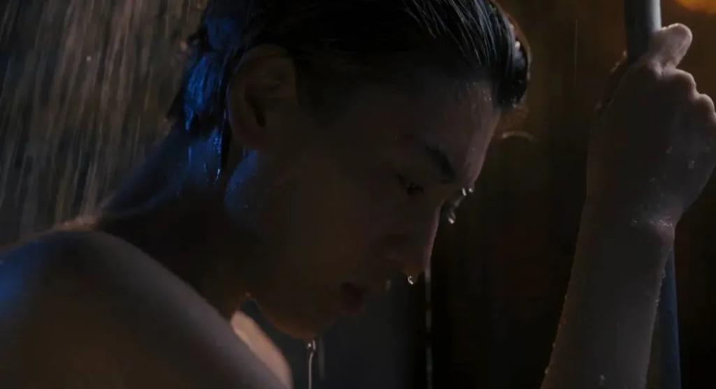 好美的一张脸，好烂的一部片