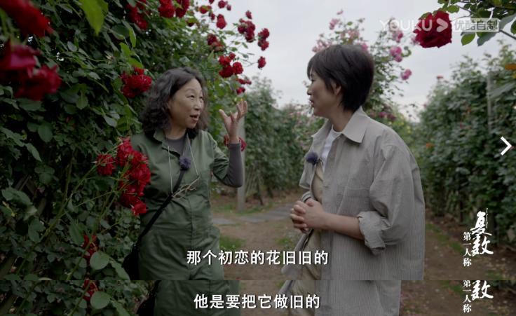这不该只是一档女性谈话类节目
