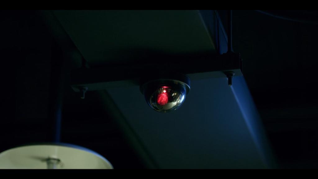 全网出圈，可惜是集体诈骗