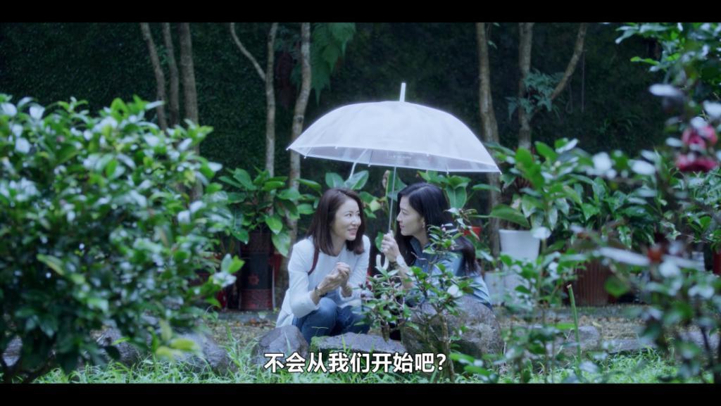 全网出圈，可惜是集体诈骗