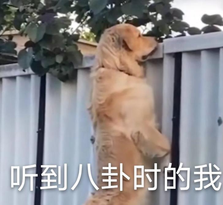 刚火就被扒出闪婚闪离了啊？