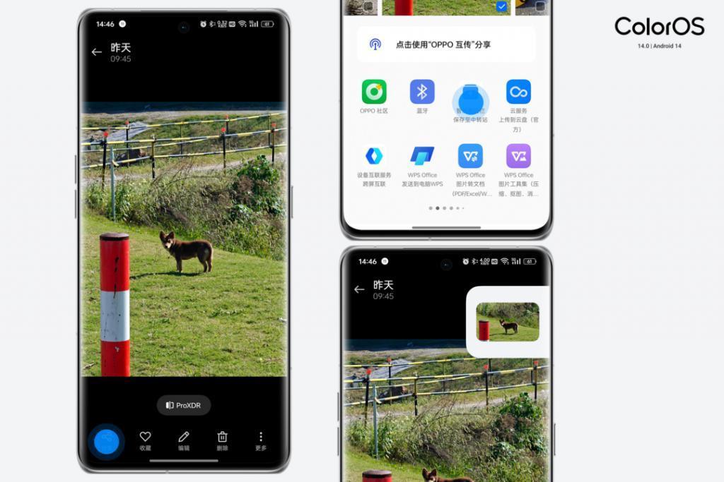ColorOS 14 正式版体验：让陪伴成为习惯