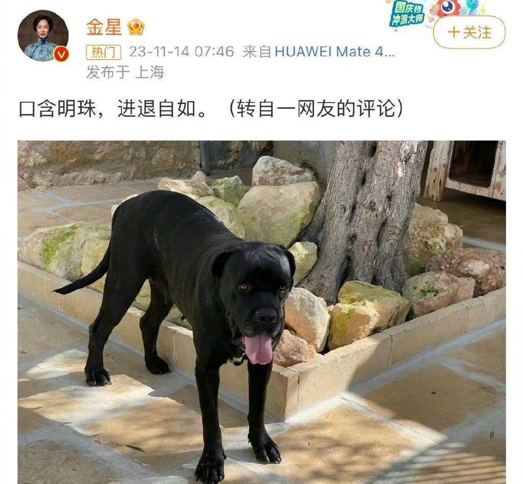 这男宝拍的马屁，熏到我了