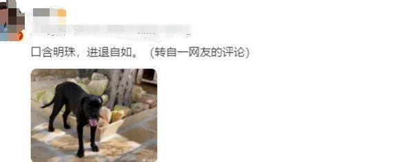 被“包养”的王自如，在罗永浩的捶打中变成女总裁的心灵保养师