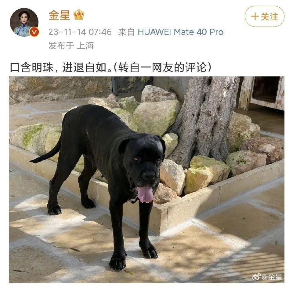 用八字经开黄腔还两度狡辩，金星的硬伤不是暴脾气而是低情商