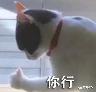 好甜好好嗑！这一对是真的超爱彼此啊